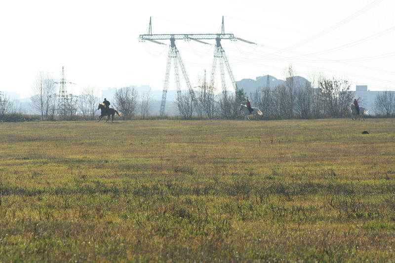 IMG_1079.jpg1.jpg"%20height="533"%20width="800